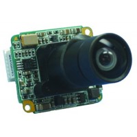 1/4 Color Board Camera, 480TVL, 22 x 26mm Board,PAL